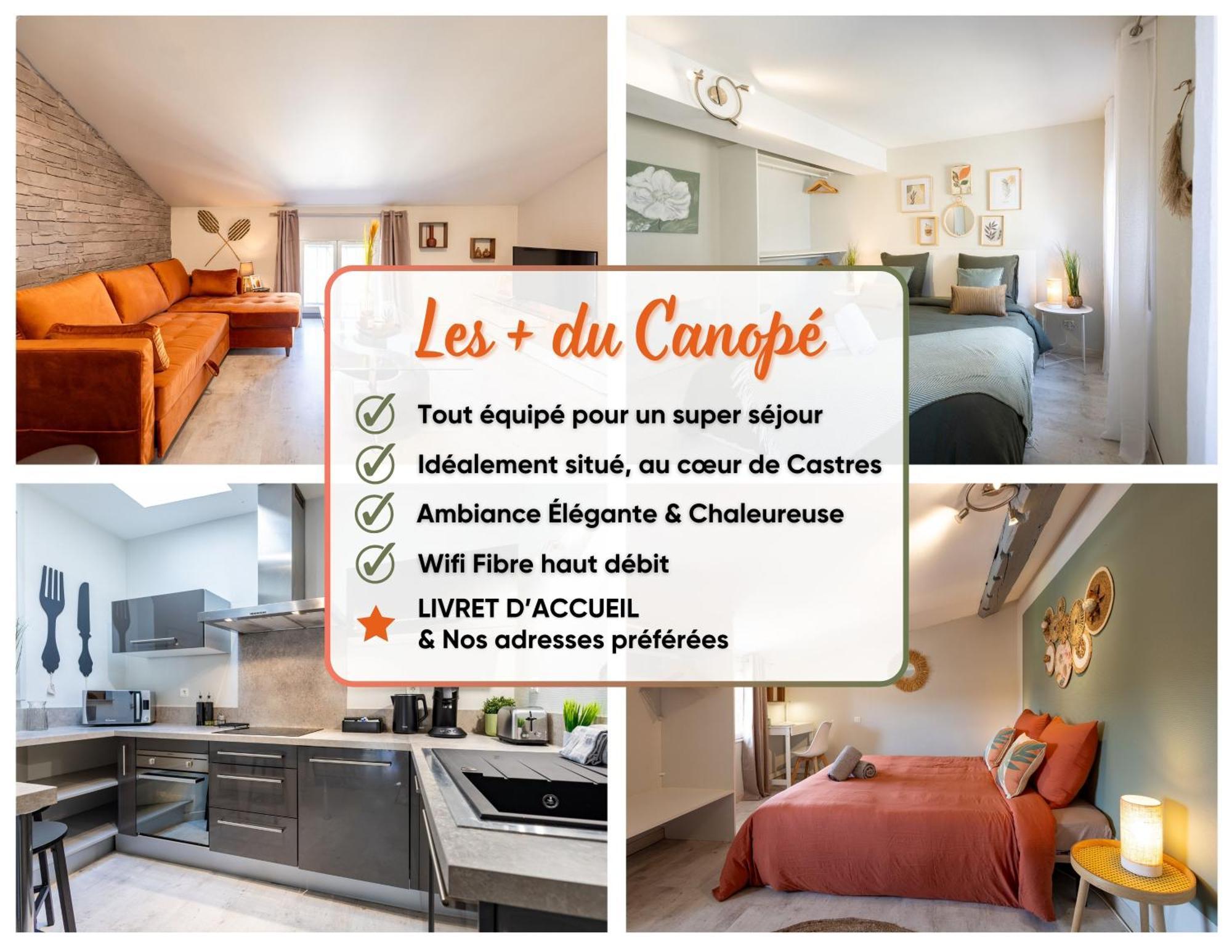 Le Canope - T3 Duplex, 2 Salles D'Eau, Hypercentre カストル エクステリア 写真
