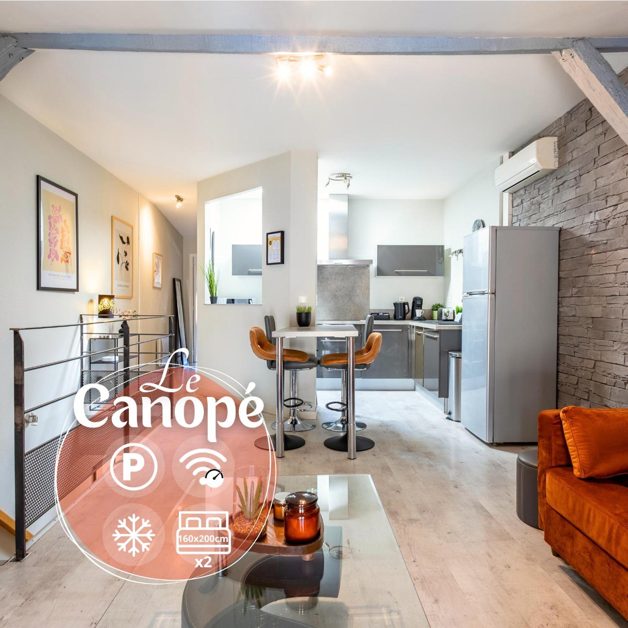 Le Canope - T3 Duplex, 2 Salles D'Eau, Hypercentre カストル エクステリア 写真